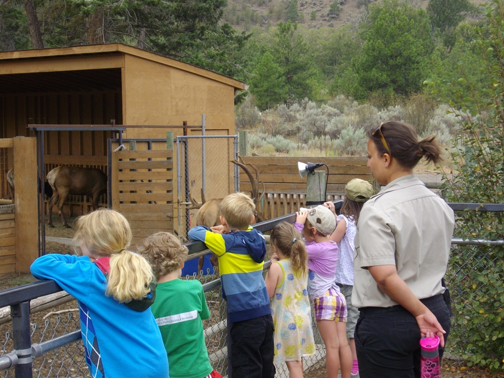 Children lean against a fence while an attendant teaches them about animals at the BC Wildlife Park in Kamloops.